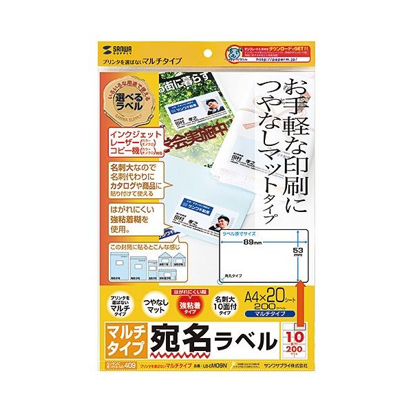 TTvC }`x hTCY A4 10ʁA20V[gA200x LB-EM09N