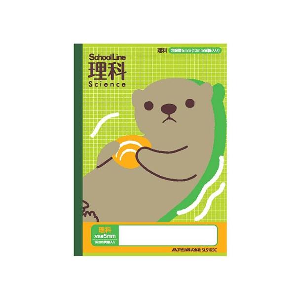 {m[g AsJ XN[C Ȗږ  SLS10SC