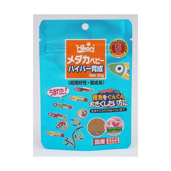 L[ _Jxr[ nCp[琬 20g