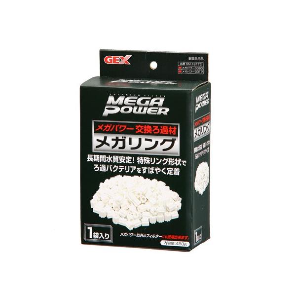 WFbNX GEX GM-18172 KO