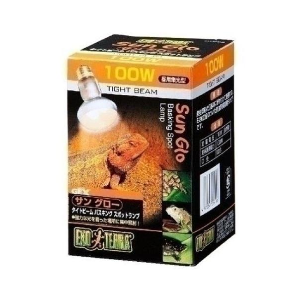 WFbNX GEX TO[^Cgr[100W PT2138