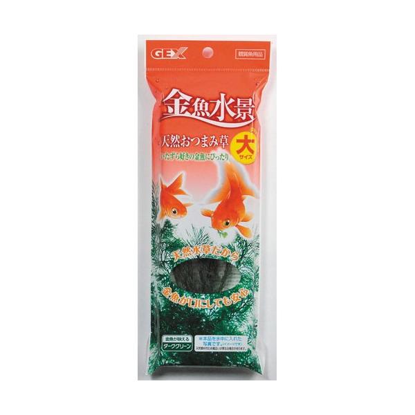 WFbNX GEX i VR܂ݑ 