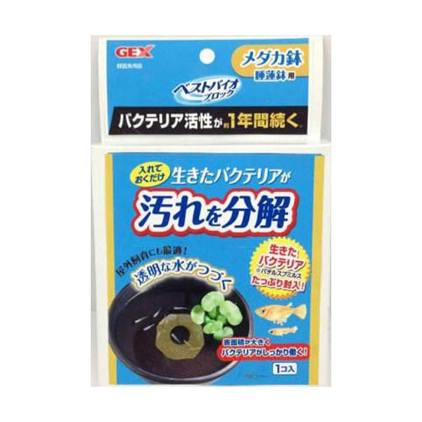 WFbNX GEX xXgoCIubN _Jp