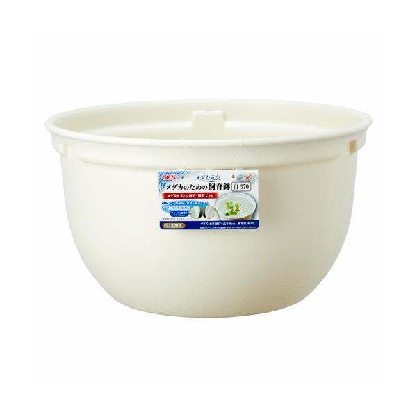 WFbNX GEX _JC _Ĵ߂̎甫 370