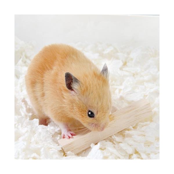 WFbNX GEX nr n[j[og 5{