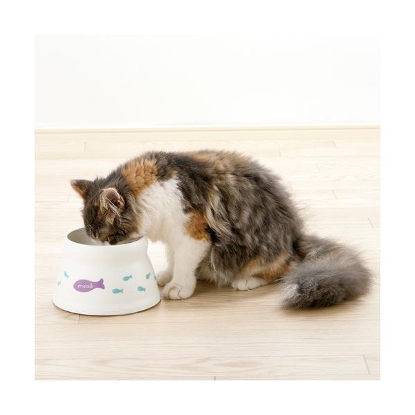 b`F ڂɂ rtLbgfBbV S 