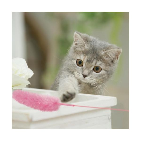 hM[}nV LeB[} L L̂VуJU鑐 3{Zbg