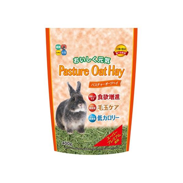 ハイペット パスチャー オーツヘイ 400g うさぎ 牧草 おやつ 総合栄養