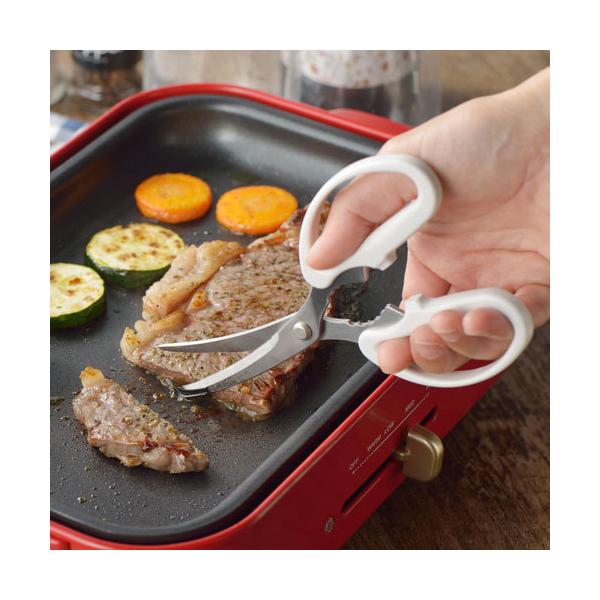 VJ MOTTE zbgv[gpē΂ YJ3195