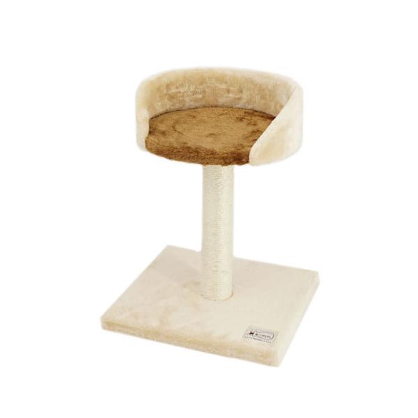 ybgv ˂ ˂D܂Ƃ Lbg^[ X^h