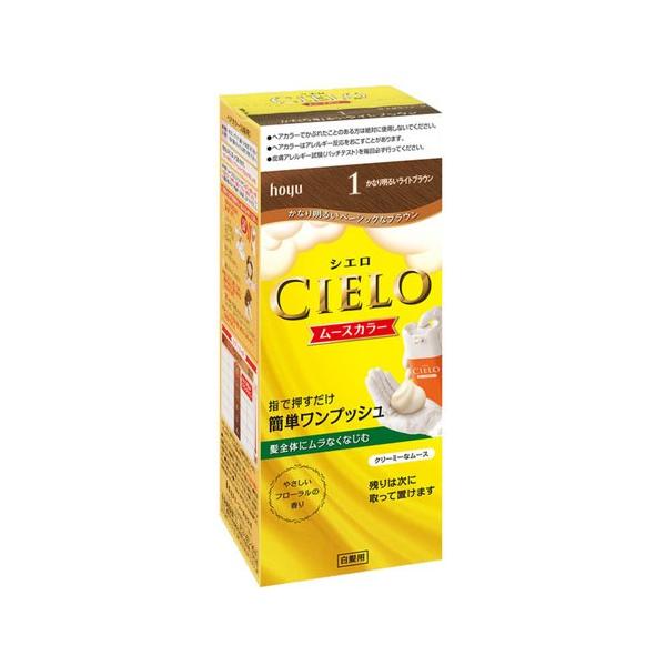 z[[ VG [XJ[ 1 Ȃ薾邢CguE