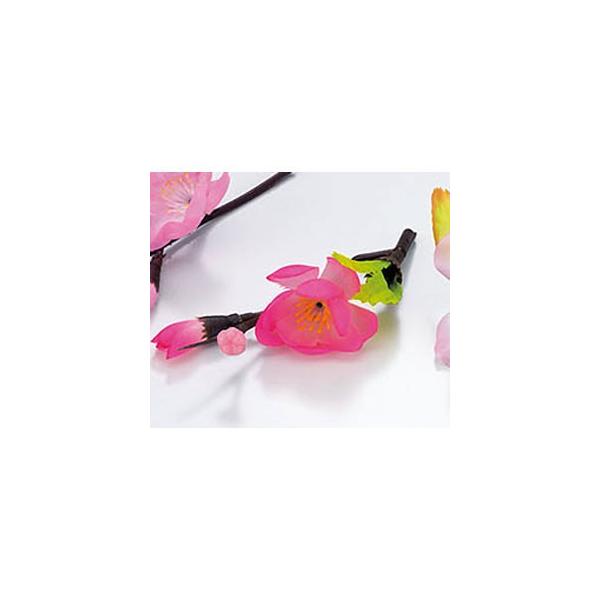 }R[ lG̉Ԃ  100P 64330