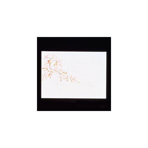 }R[ ԕۑN  100  QHS02