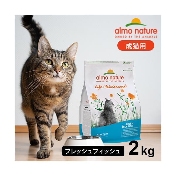 アルモネイチャー ホリスティック ドライフード 成猫用 フレッシュ