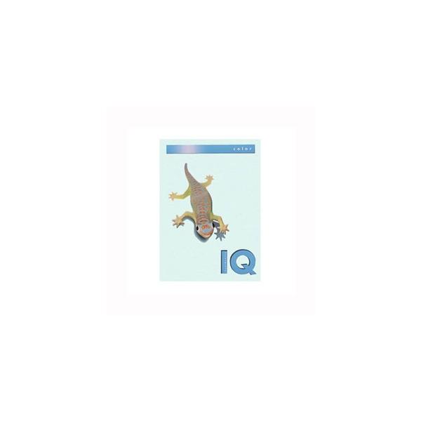 ɓ oCIgbvJ[PPC A4 u[ BT507 Rs[p