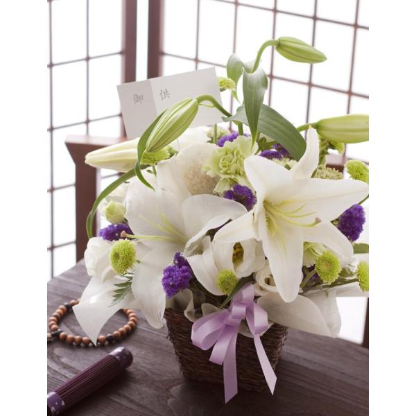 webflora_210yua-osonae-050a