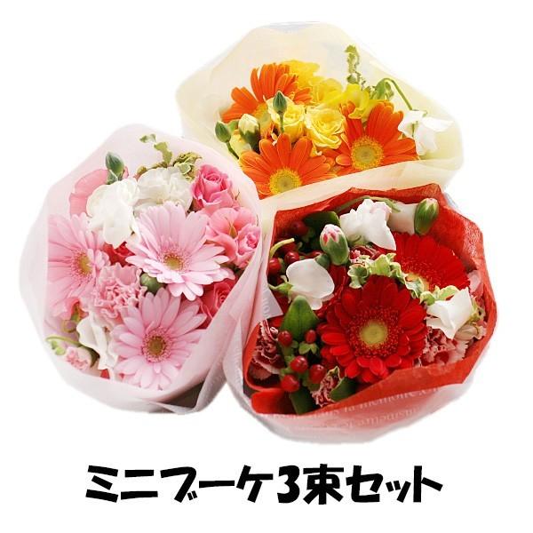花束 花配達 ミニブーケ3束セット 即日発送 卒業 入学 結婚式 花の配達便 Buyee Buyee 提供一站式最全面最专业现地yahoo Japan拍卖代bid代拍代购服务 Bot Online