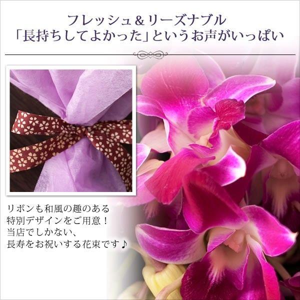 敬老の日 デンファレ花束 Buyee 日本代购平台 产品购物网站大全 Buyee一站式代购 Bot Online
