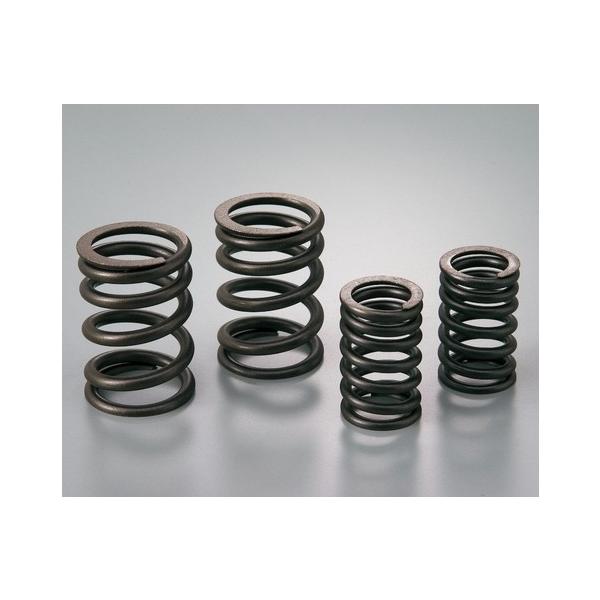 DAYTONA fCgi ouXvOZbg XR100^[h XR50^[h GCv100 GCv50 HONDA z_ ouXvO GWp[c GW