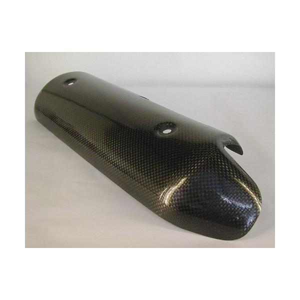 SPEED CARBON Xs[hJ[{ }t[Eq[gK[h Monster S2R1000 MONSTER S4R [X^[] DUCATI hDJeB }t[K[hEq[gK[h }t[