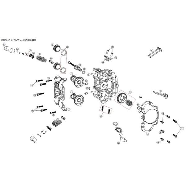 DAYTONA fCgi yDOHCCizOOZbg ̑{AAbvIvVECi GWp[c GW