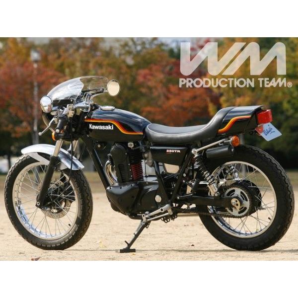 WM ダブルエム マッハモード テールカウル COMP 250TR KAWASAKI