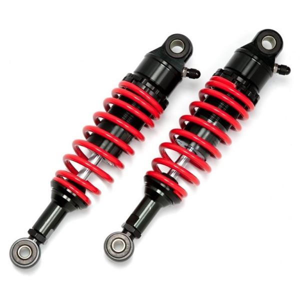 RFY A[GtC KX[_EVbN J[Fbh^ubN 250TR KAWASAKI JTL ATXyV TXyV 