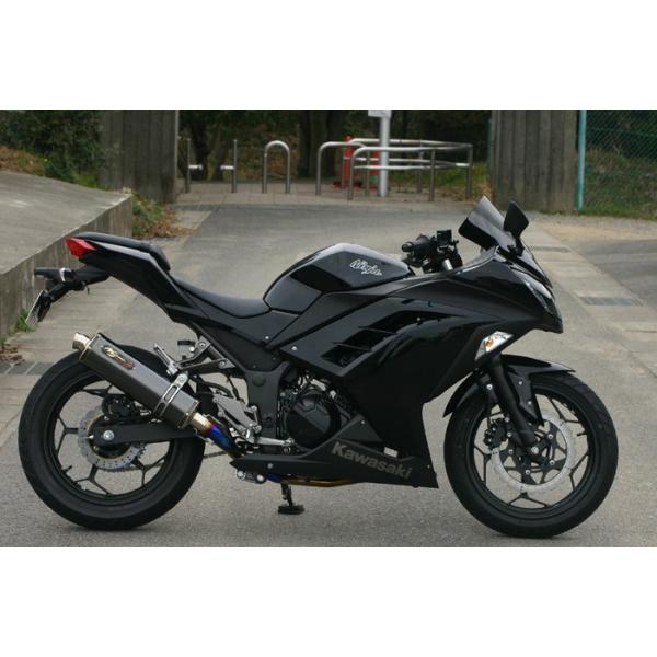 NOJIMA mW} DLC-TITAN tGL][Xg }t[ Ninja250 [JBK-EX250L] KAWASAKI JTL tGL][Xg}t[