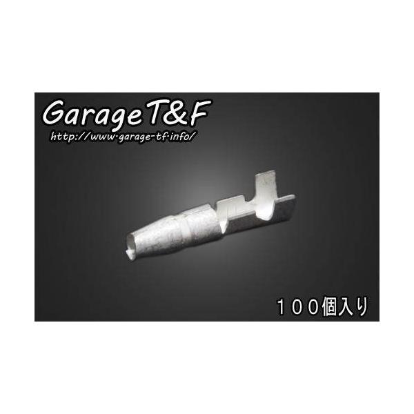 Garage T&amp;F K[W ی^M{V[q ^CvFIX [qEM{V[q XCb`En[lX֌W dn