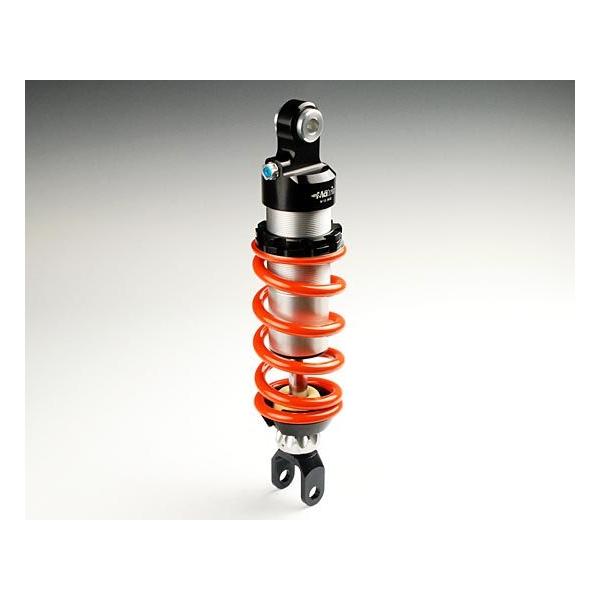 Matris }gX ATXyV mVbN Ninja 300 R 250 KAWASAKI JTL TXyV 