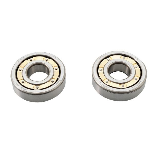 DAYTONA fCgi xAOZbg CRF50F GCv50 S V[50 WY _bNX L[ L[BAJA HONDA z_ GWp[c GW