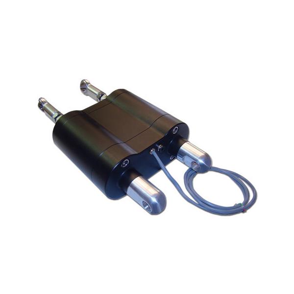 iK&amp;W JX^TCNRg[GATXyV 1999N܂ł̃G{p EVOLUTION [G{[V] HARLEY-DAVIDSON n[[_rbh\