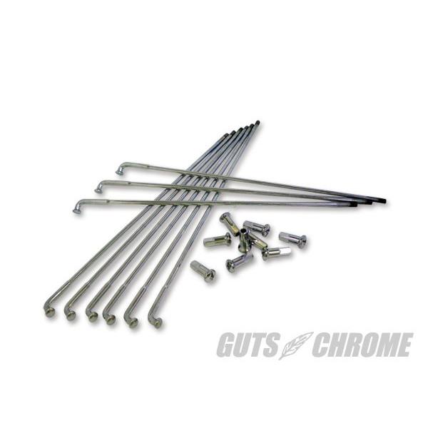 GUTS CHROME KbcN[ yWWzRxVip18C`X|[NZbg HARLEY-DAVIDSON n[[_rbh\ X|[NEjbv zC[֘A