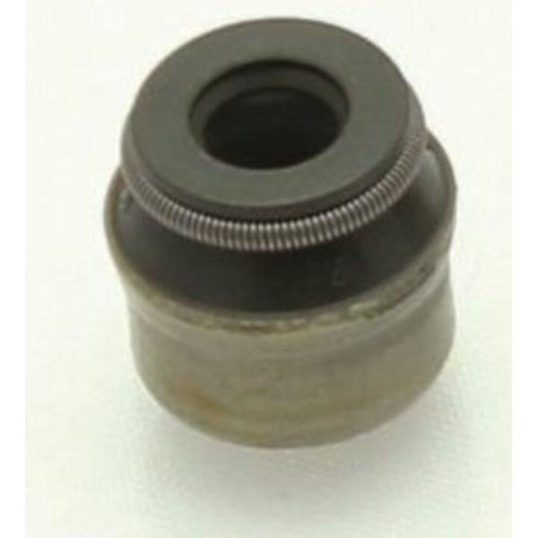 CENTAURO `F^E ouXeV[ DUCATI hDJeB ̑GWp[cIvVECi GWp[c GW