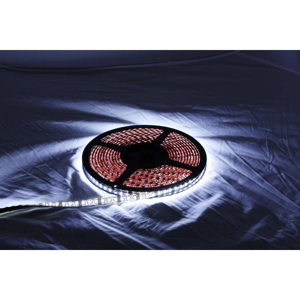 CUSTOM DYNAMICS JX^_Ci~bNX ANZgv REEL N[ zCg yLIGHT COOL WHITE [2040-1332]z LEDdELEDhXAbvp[c Η