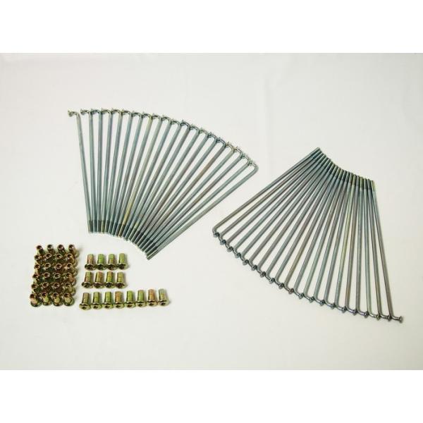 DOREMI COLLECTION h~RNV X|[N ^CvFtg hp X|[NEjbv zC[֘A 