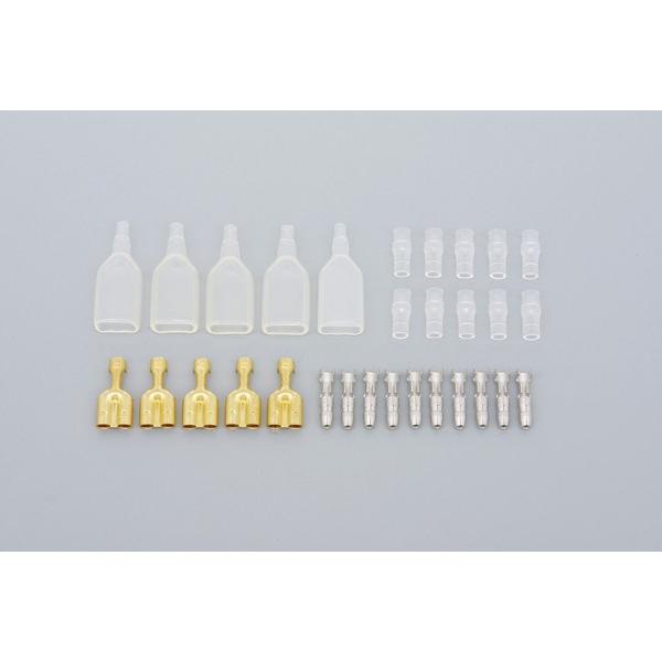 DAYTONA fCgi M{V[q(_u)Zbg zER[h