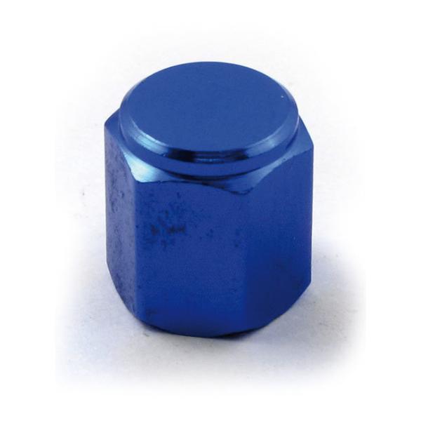 MCS GV[GX ouXeLbv 19yVALVE STEM CAP 19z GAouLbv