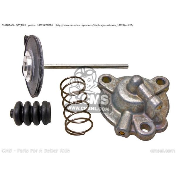 CMS V[GGX DIAPHRAGM SETCPUM HONDA z_ ̑Lu^[IvVECi zC֘A GW