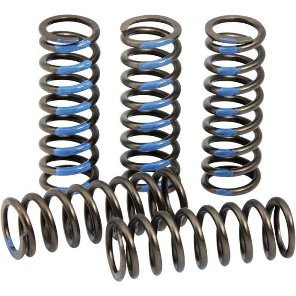 PRO CIRCUIT vT[Lbg Nb`XvOyCLUTCH SPRINGS [1131-2480]z YZ250F YAMAHA }n XN[^[Nb`XvO XN[^[쓮n 쓮n