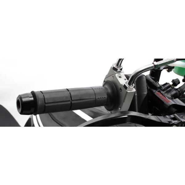 ACTIVE ANeBu ԎpXbgLbg [TYPE-2] Ci[aF28 / z_[J[FVo[ C[fށFbL MONKEY125 HONDA z_