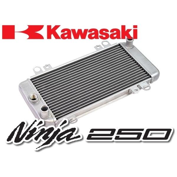 ATop G[gbv A~WG[^[ { jW250R KAWASAKI JTL WG[^[ p֘A GW