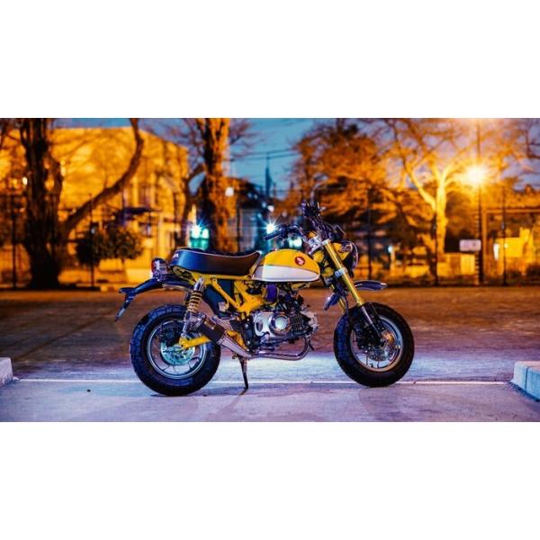 HOT LAP zbgbv Type520_E}t[y{F؁z L[125 HONDA z_ tGL][Xg}t[ }t[