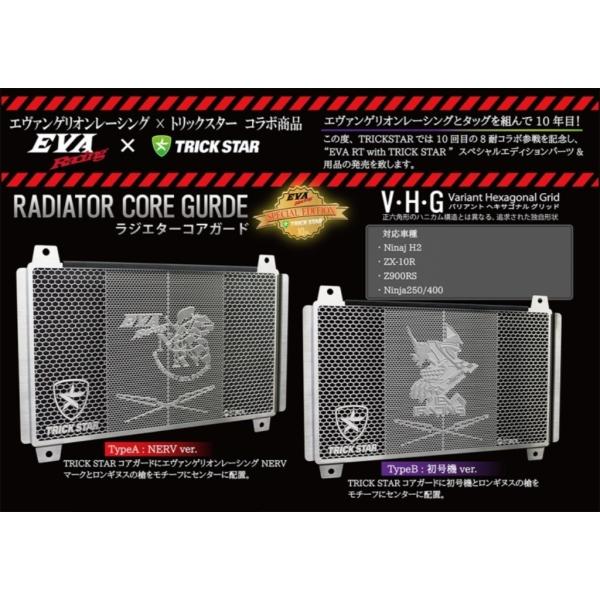 TRICKSTAR �g���b�N�X�^�[ ���W�G�^�[�R�A�K�[�h EVA �^�C�v�FNERVver / �J���[�F�u���b�N���b�L ZX-10R KAWASAKI �J���T�L ��p�֘A �G���W��