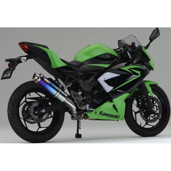 Realize ACY Aria(AA)XbvI `^}t[ ^CvFType-C(J[Gh) Ninja 250 SL KAWASAKI JTL XbvI}t[ }t[