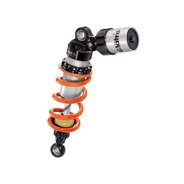 Matris }gX AVbN M46K fCgi675 TRIUMPH gCAt ATXyV TXyV 