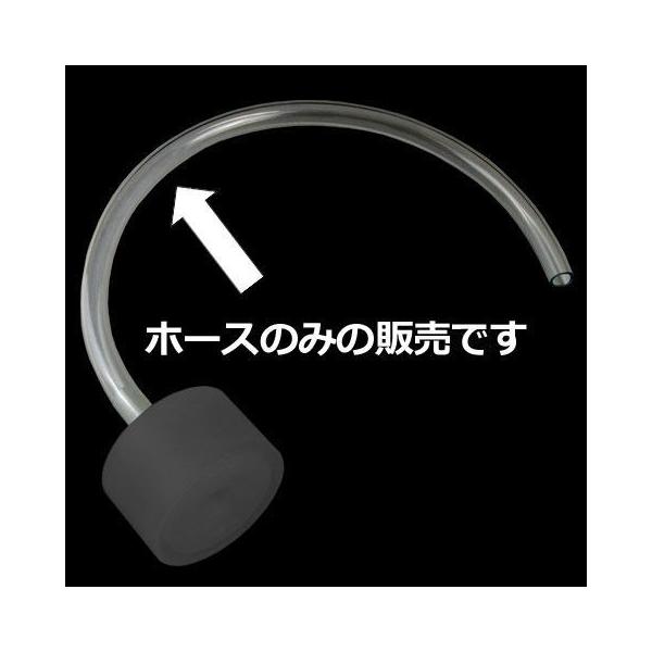 Pine Valley pCo[ IC[o[p z[X  TWIN-CAM G{[Vf X|[cX^[ HARLEY-DAVIDSON n[[_rbh\