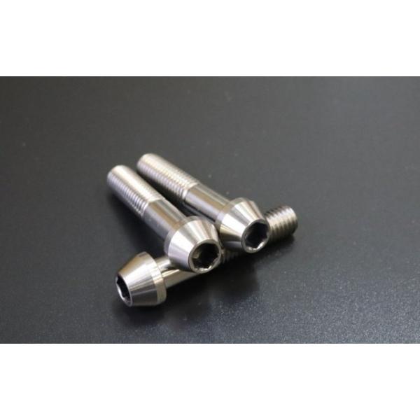 WOODSTOCK �E�b�h�X�g�b�N ���`�^�j�E���{���g�̂� �e�[�p�[�L���b�v�o�[�W�����Z�b�g �J���[�F�v���[��(�\�ʏ����Ȃ�) KATANA GSX-S1000 GSX-S1000F