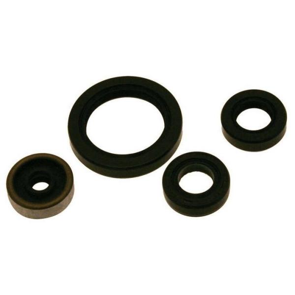 CENTAURO `F^E ICV[ Zbg WR 250 F YZ YAMAHA }n GWp[c GW
