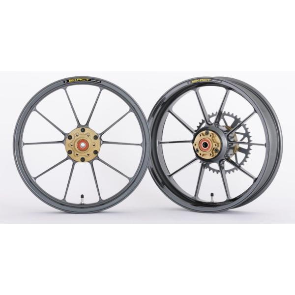 マグネシウムホイール210mm ADVANTAGE（アドバンテージ） EXACT [イグザクト] RACING 10 フル鍛造